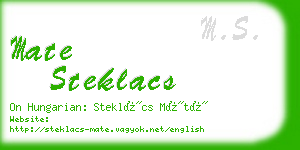 mate steklacs business card